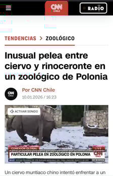 Mundżak i samica nosorożca robią w sieci zawrotną karierę