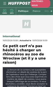 Mundżak i samica nosorożca robią w sieci zawrotną karierę