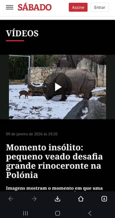 Mundżak i samica nosorożca robią w sieci zawrotną karierę