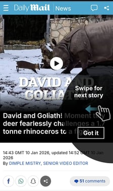 Mundżak i samica nosorożca robią w sieci zawrotną karierę