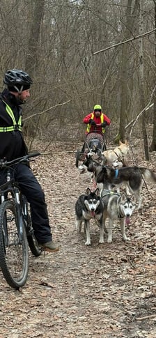 Trening Watahy Domowych Wilków z Wrocławia