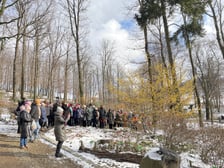 <p>Arboretum Wojsławice otwarte w weekend 13-15 lutego &ndash; wiele roślin właśnie teraz rozkwita</p>