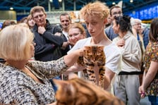 Cat Show Wrocław w Hali Orbita we Wrocławiu, 7 marca 2026
