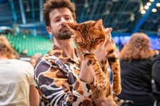 Cat Show Wrocław w Hali Orbita we Wrocławiu, 7 marca 2026