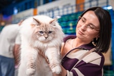Cat Show Wrocław w Hali Orbita we Wrocławiu, 7 marca 2026