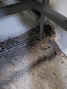 Azyl Ekostraży przy ul. Miłoszyckiej 67 we Wrocławiu pilnie potrzebuje remontu. Pierwszy etap już sie rozpoczął