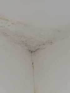 Azyl Ekostraży przy ul. Miłoszyckiej 67 we Wrocławiu pilnie potrzebuje remontu. Pierwszy etap już sie rozpoczął