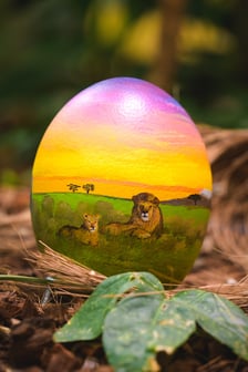 <p>Jajo przygotowane przez Weronikę Łysek</p>