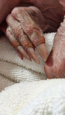 Mrównik z wrocławskiego zoo