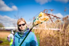 Akcja Czysta Odra, Wrocław, 8 kwietnia 2026, okolice Kładki Zwierzynieckiej