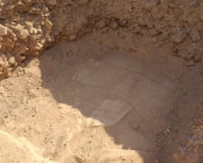 Miejsce grobu, w którym odkopano szczątki psa