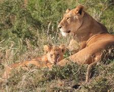 Prof. Marta Osypińska i prof. Piotr Osypiński  podczas poprzedniego rekonesansku w Tanzanii (2)