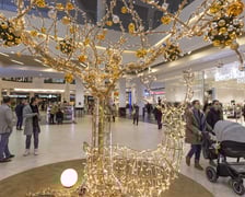 Na zdjęciach klienci w galerii handlowej we Wrocławiu