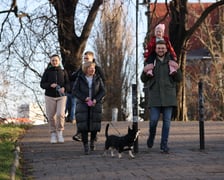 Spacerowicze podczas świąt we Wrocławiu. Okolice bulwarów i Ostrowa Tumskiego