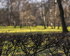 Park Wschodni na osiedlu Księże