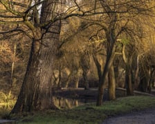 Park Wschodni na osiedlu Księże