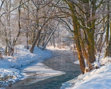 Tereny wodonośne