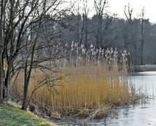 Tereny wodonośne