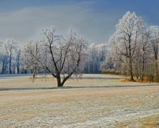 Tereny wodonośne