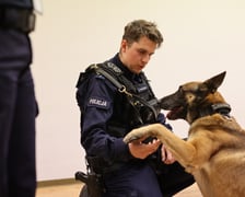 <h2>Kto może zostać policjantem i policjantką</h2>
<p>Policjantem i policjantką może zostać każdy, kto spełnia poniższe wymagania:</p>
<p>&nbsp;</p>
<ul>
<li>obywatel polski o nieposzlakowanej opinii;</li>
<li>kt&oacute;ry nie był skazany prawomocnym wyrokiem sądu za przestępstwo lub przestępstwo skarbowe;</li>
<li>korzystający z pełni praw publicznych;</li>
<li>posiadający co najmniej średnie wykształcenie;</li>
<li>posiadający zdolność fizyczną i psychiczną do służby w formacjach uzbrojonych, podległych szczeg&oacute;lnej dyscyplinie służbowej, kt&oacute;rej got&oacute;w jest się podporządkować;</li>
<li>dający rękojmię zachowania tajemnicy stosownie do wymog&oacute;w określonych w przepisach o ochronie informacji niejawnych.</li>
</ul>