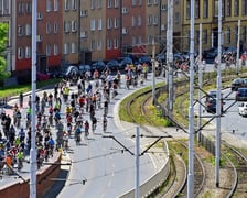 Wrocławskie Święto Rowerzysty. Przejazd przez miasto był kluczowym momentem fiesty, która zakończyła się piknikiem w parku Stanisława Tołpy.