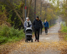 Na Promenadzie Krzyckiej, jesień