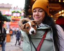 Jarmark Bożonarodzeniowy we Wrocławiu w drugi dzień świąt