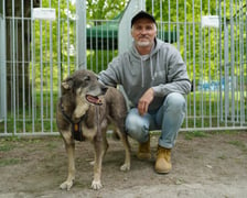 Piknik Adopcyjny Fundacji Centaurus w Parku Południowym