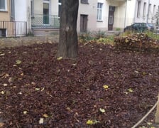 Rekultywacja skwerów, placyków i terenów zielonych w centrum Wrocławia.