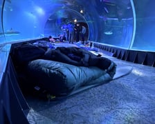 <p>W Tunelu Mozambickim wrocławskiego Afrykarium można spędzić noc.&nbsp;</p>