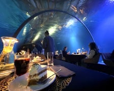<p>W Tunelu Mozambickim wrocławskiego Afrykarium można także zjeść kolację.</p>