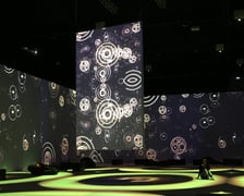 Zdjęcie z wystawy KLIMT – The Immersive Exhibition w hali IASE we Wrocławiu (do 23 lutego 2025)