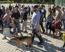 Uczestnicy parady w 2022 roku