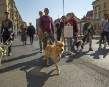 Uczestnicy parady w 2022 roku