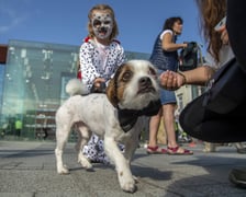 Uczestnicy parady w 2022 roku