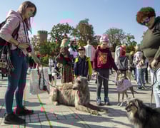 Uczestnicy parady w 2022 roku