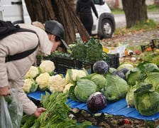 <p>Targ na Dowcu Świebodzkim (niedziela 5 listopada)</p>