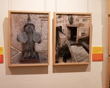 <p>W Dreźnie uruchomiono czasową wystawę na 65-lecie partnerstwa z Wrocławiem. Miastu został także podarowany krasnal Literat.</p>