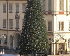 Coraz mniej choinki na Rynku. Trwa jej rozbieranie