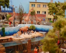 Miniaturowe ZOO w Kolejkowie, makieta