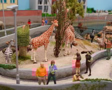 Miniaturowe ZOO w Kolejkowie, makieta