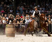 Wrocławski Tor Wyścigów Konnych