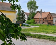 Tak latem prezentuje się ulica Pawia (zdjęcie archiwalne z 2023 r.)