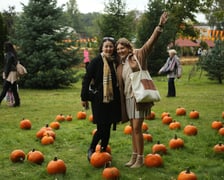 Dyniowa Farma we Wrocławiu