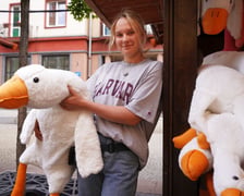 Maskotka - gęść opanowała również stragany wrocławskiego jarmarku