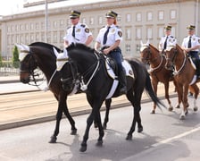 <p>Obchody Święta Narodowego Trzeciego Maja (Wrocław 3.05.2024)</p>