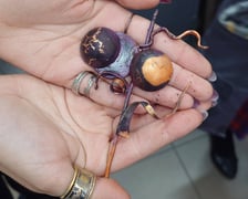 Maraton Artystyczny 2024