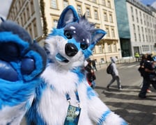 Wrocławski Furwalk 2024