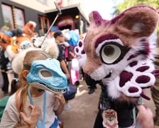 Wrocławski Furwalk 2024