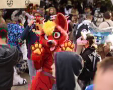 Wrocławski Furwalk 2024